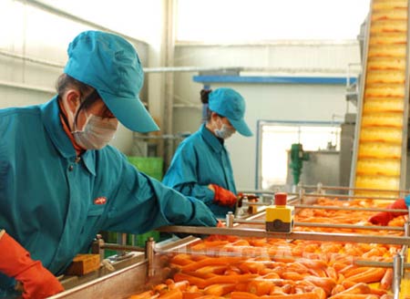 果汁鏈板輸送機行星輪的不同結(jié)構(gòu)及用途