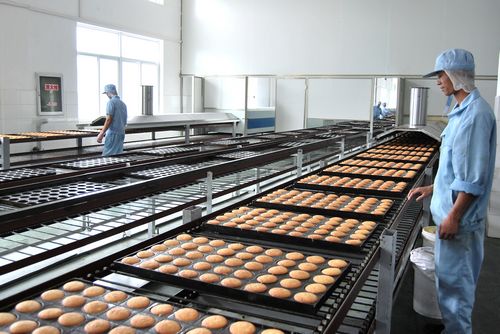 POM塑料軸承在食品滾筒輸送設備中的功能