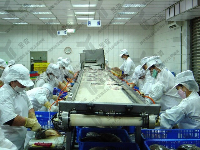 食品輸送機(jī)